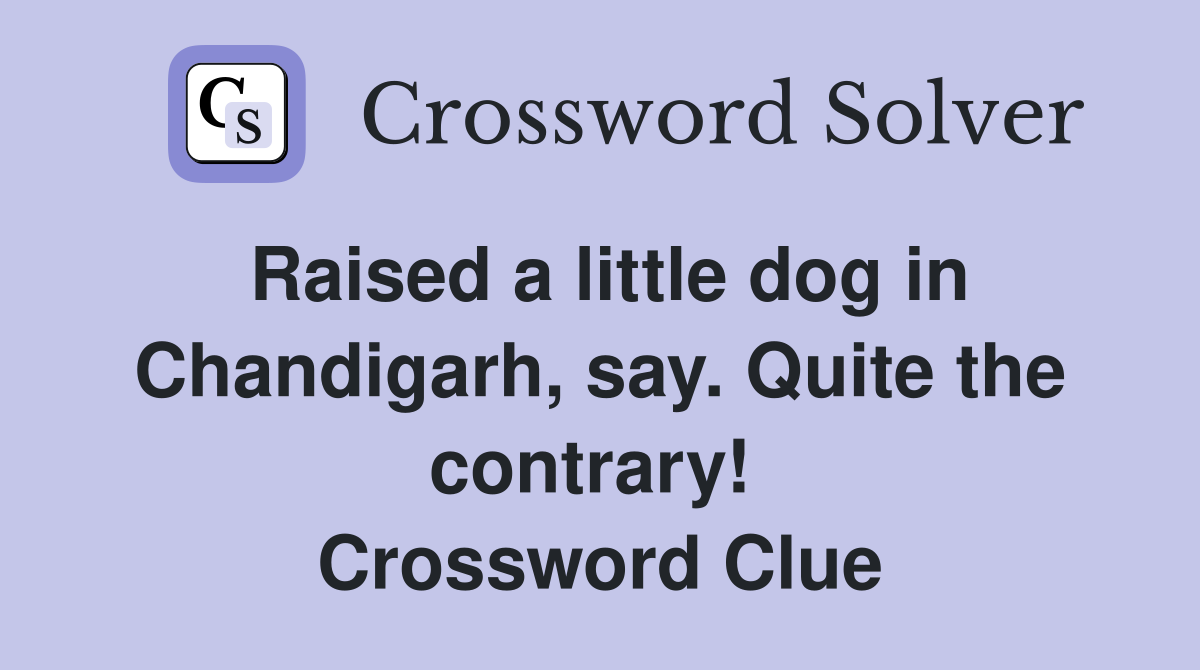 Raised a little dog in Chandigarh, say. Quite the contrary!  Crossword Clue