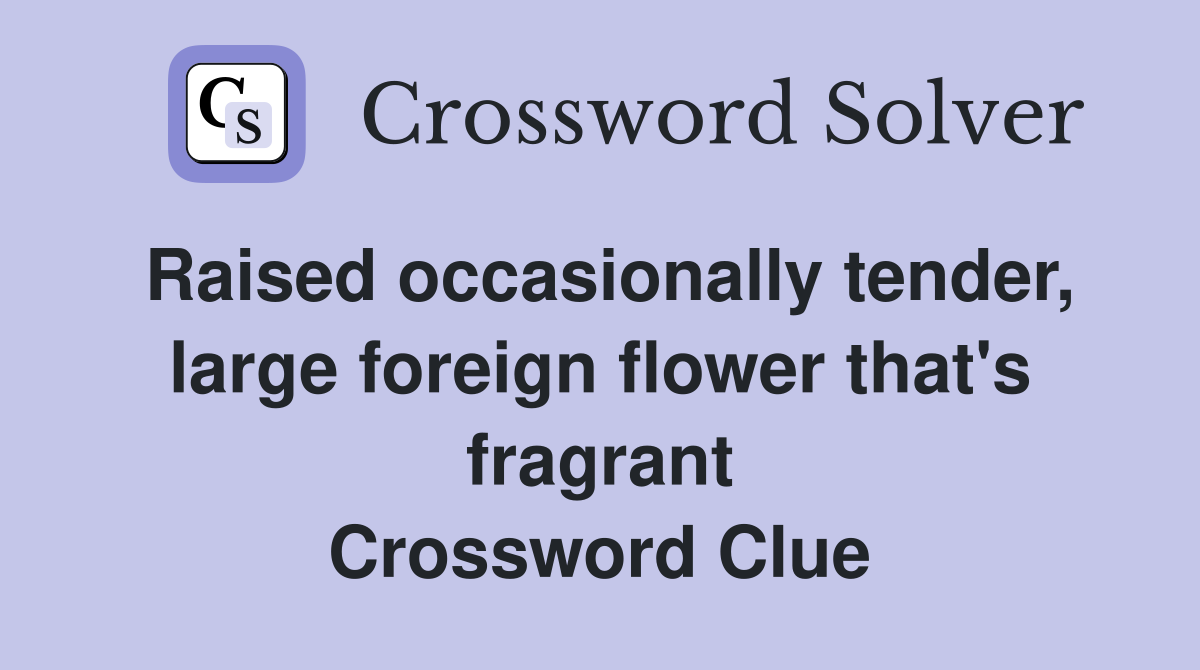 Raised occasionally tender, large foreign flower that's fragrant Crossword Clue