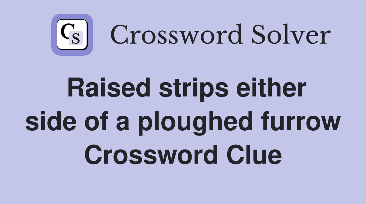 Raised strips either side of a ploughed furrow Crossword Clue