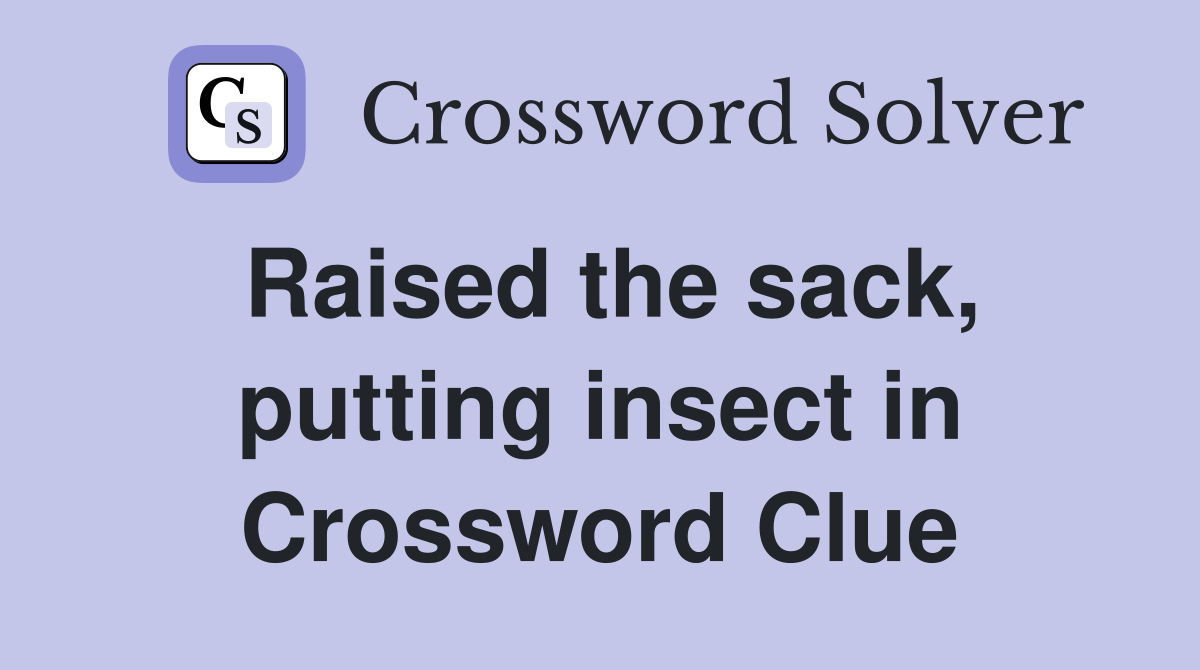 Raised the sack, putting insect in Crossword Clue