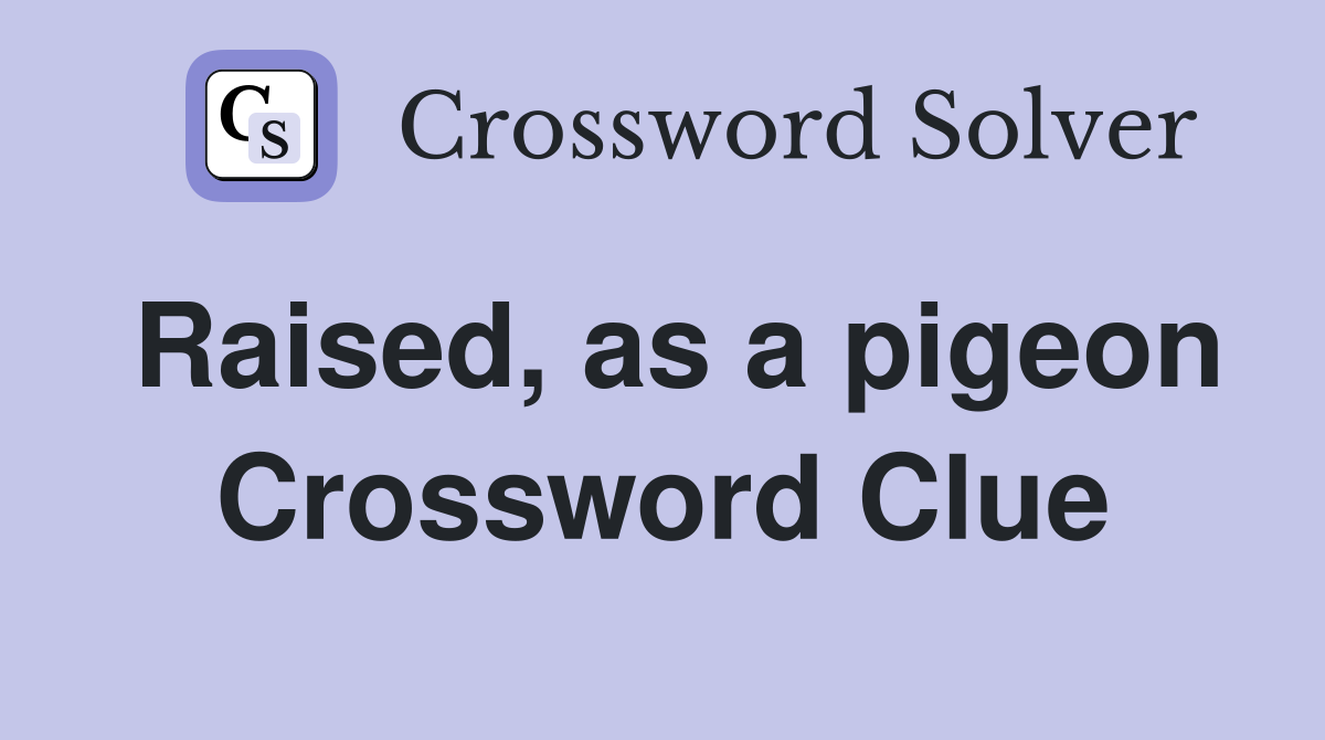 Raised, as a pigeon Crossword Clue