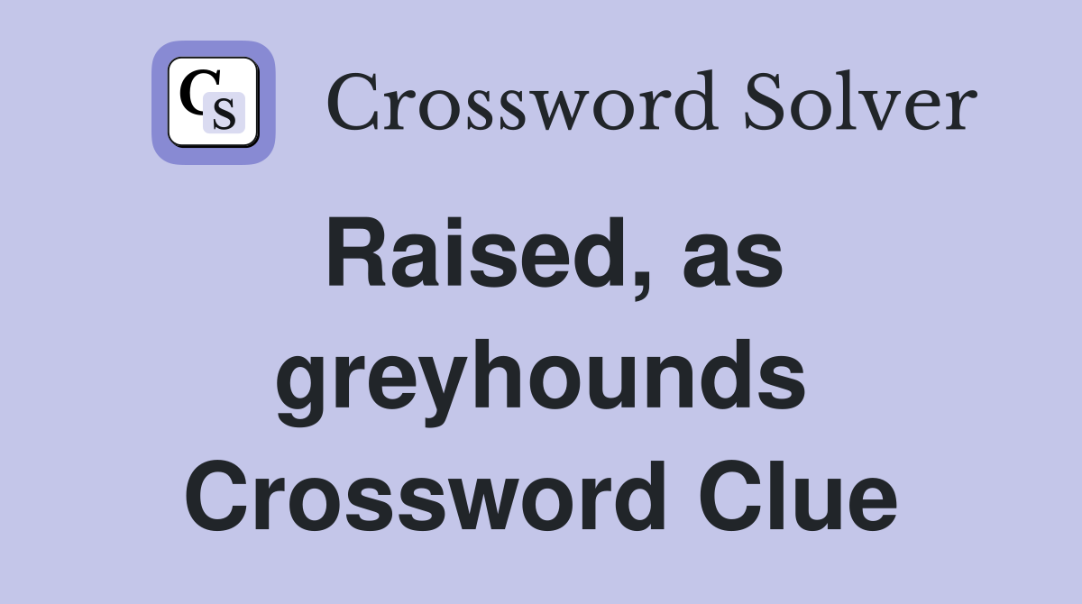 Raised, as greyhounds Crossword Clue