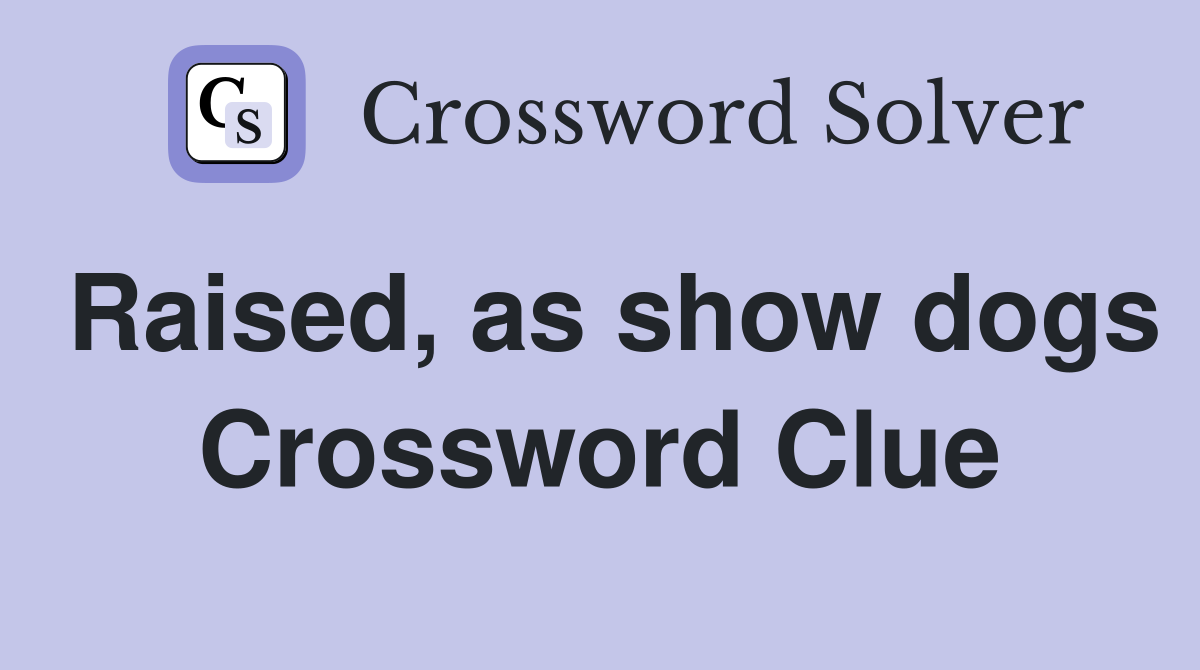 Raised, as show dogs Crossword Clue