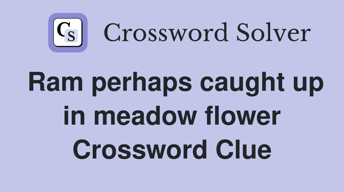 Ram perhaps caught up in meadow flower Crossword Clue