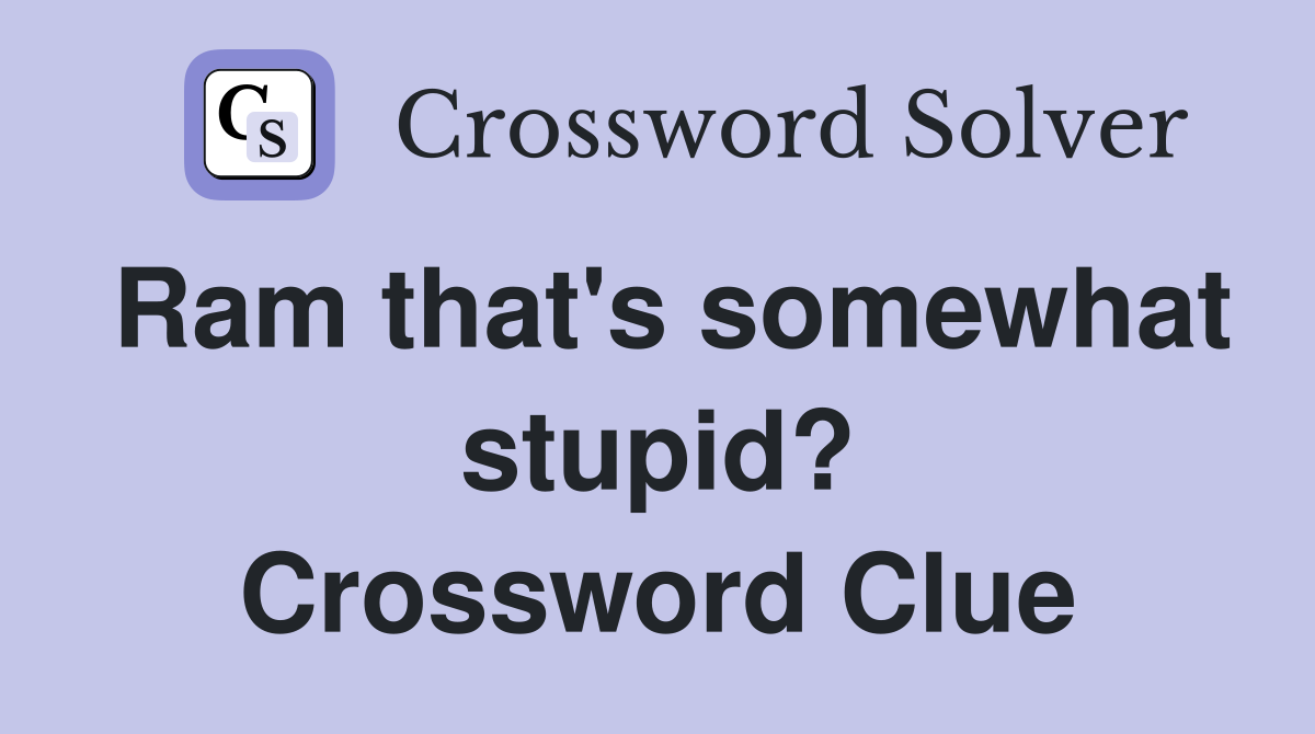 Ram that's somewhat stupid? Crossword Clue