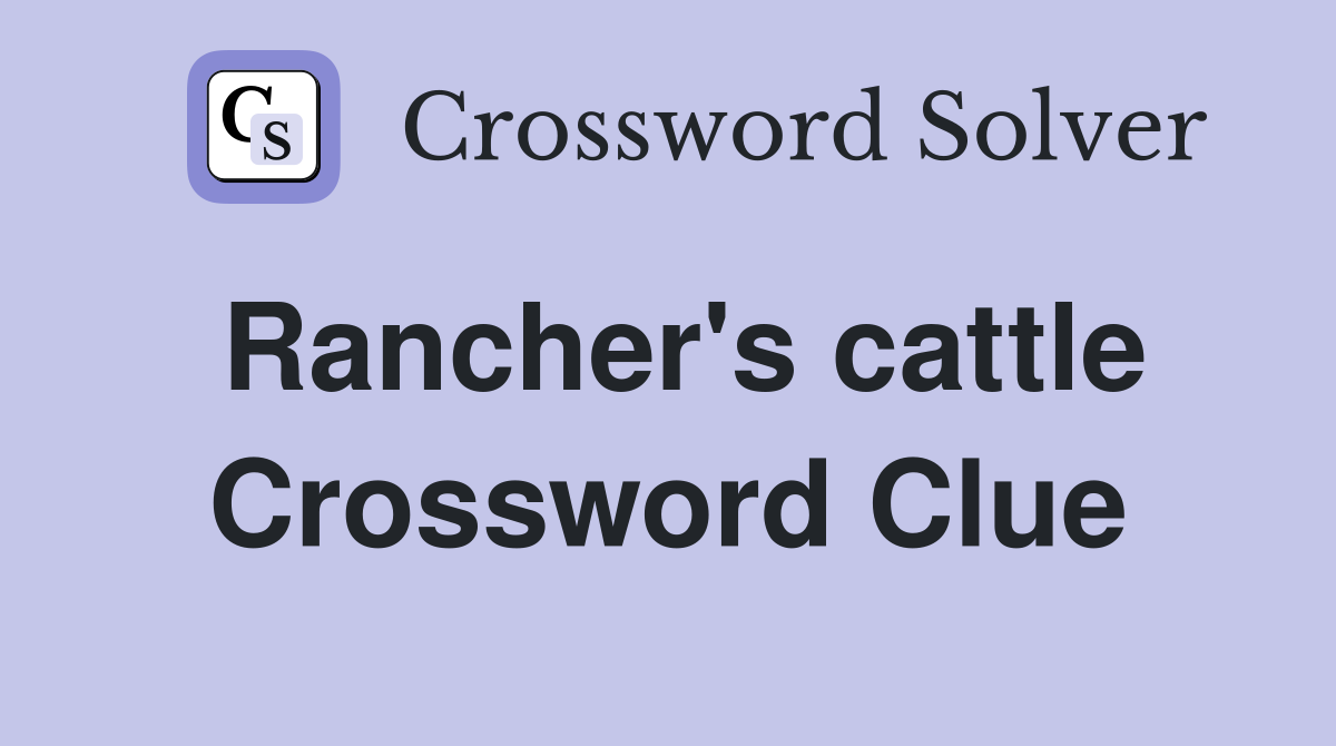 Rancher's cattle Crossword Clue