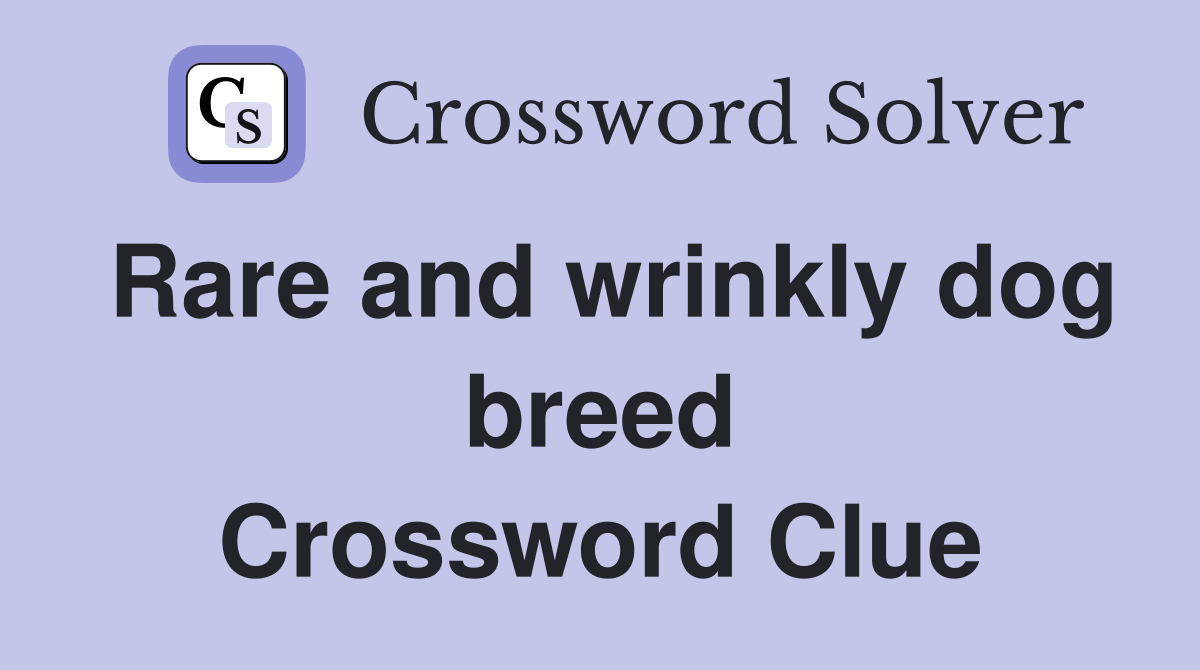 Rare and wrinkly dog breed Crossword Clue
