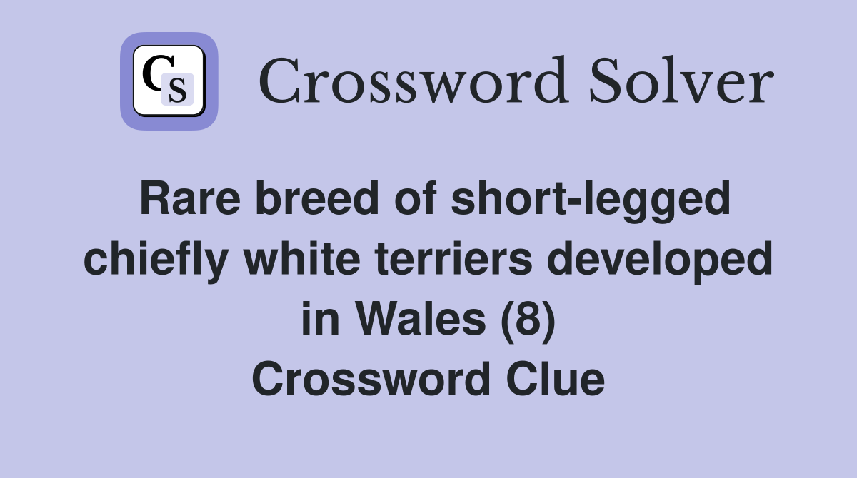 Rare breed of short-legged chiefly white terriers developed in Wales (8) Crossword Clue