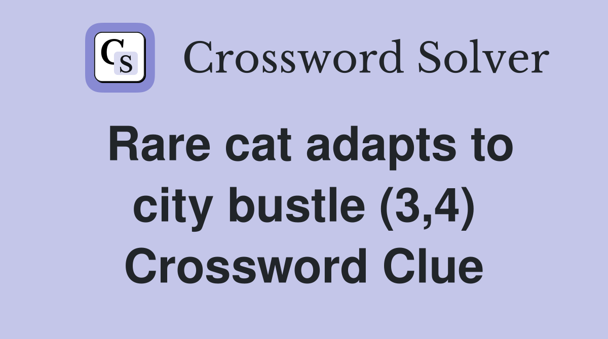 Rare cat adapts to city bustle (3,4) Crossword Clue