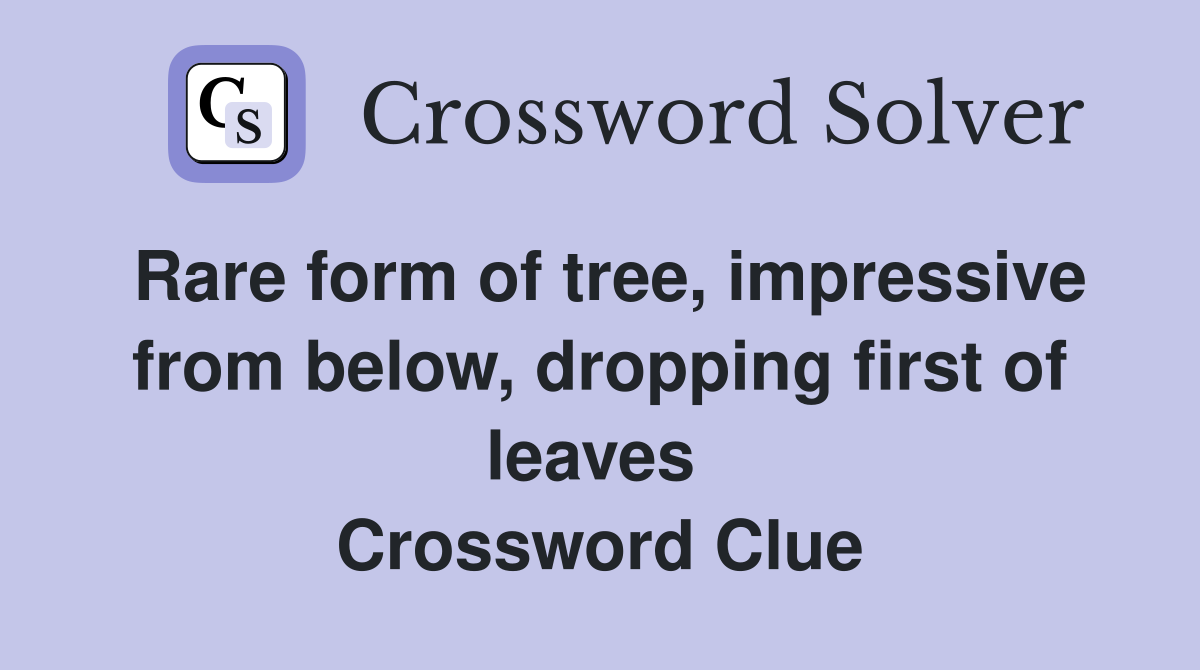 Rare form of tree, impressive from below, dropping first of leaves  Crossword Clue