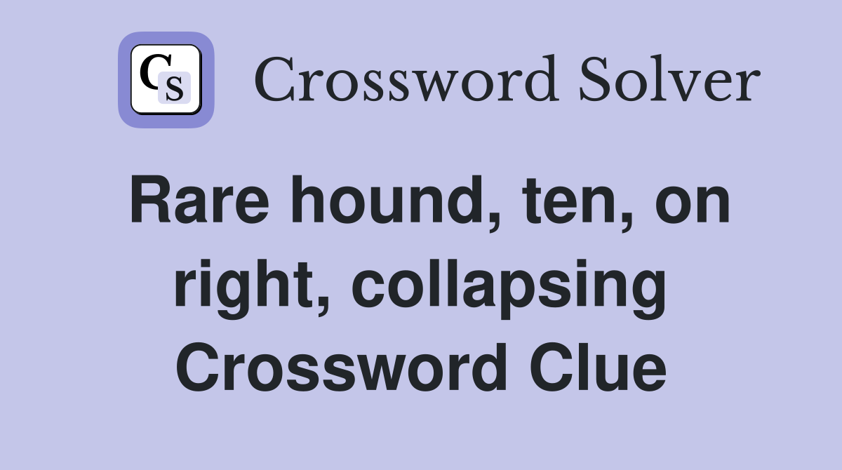 Rare hound, ten, on right, collapsing Crossword Clue