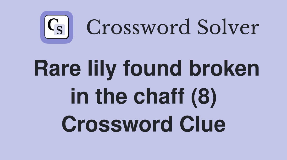 Rare lily found broken in the chaff (8) Crossword Clue
