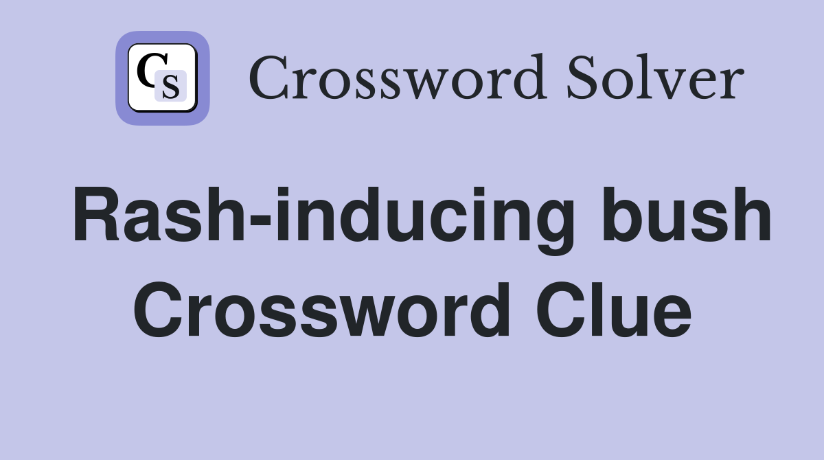 Rash-inducing bush Crossword Clue