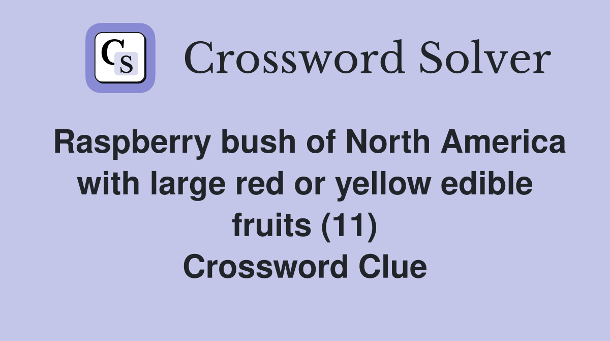 Raspberry bush of North America with large red or yellow edible fruits (11) Crossword Clue