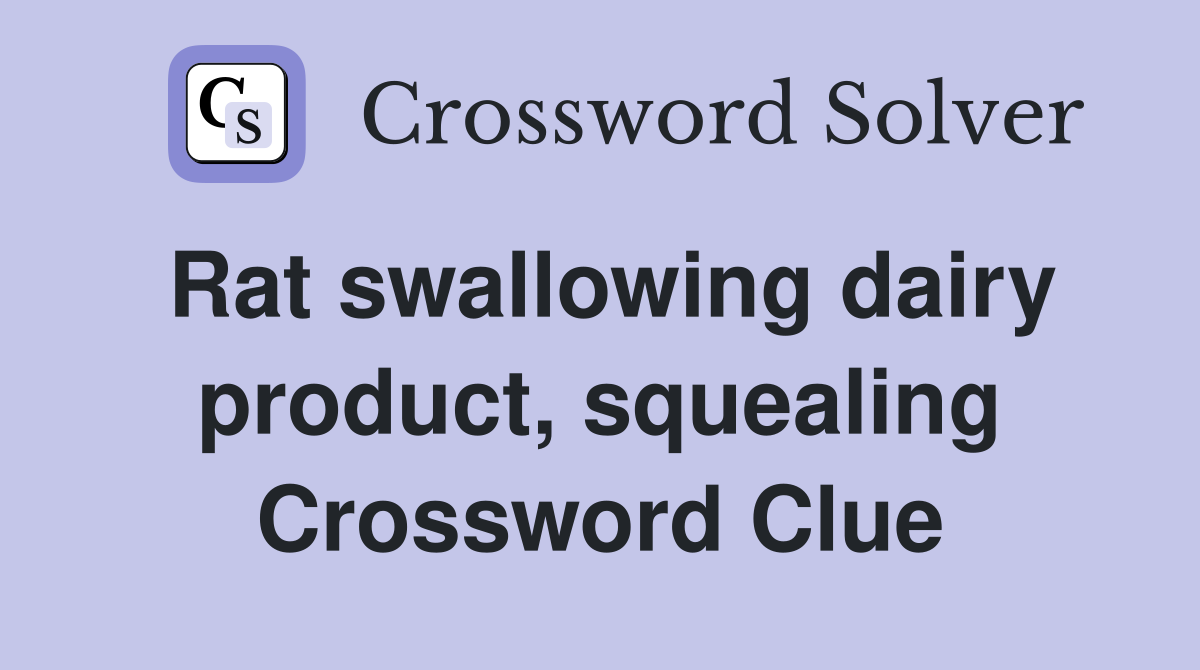 Rat swallowing dairy product, squealing Crossword Clue