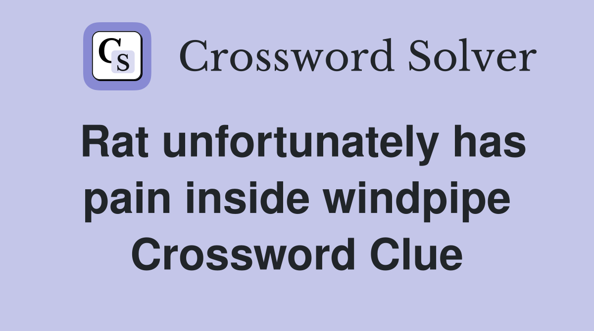 Rat unfortunately has pain inside windpipe Crossword Clue