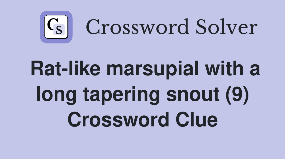 Rat-like marsupial with a long tapering snout (9) Crossword Clue