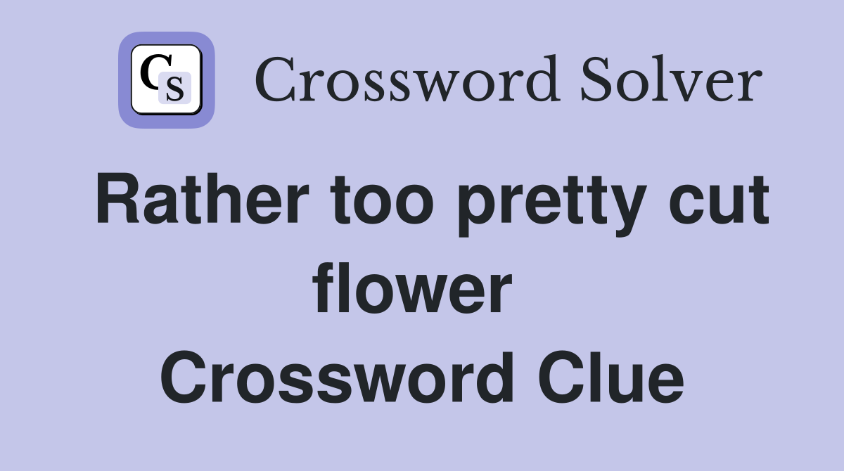 Rather too pretty cut flower  Crossword Clue