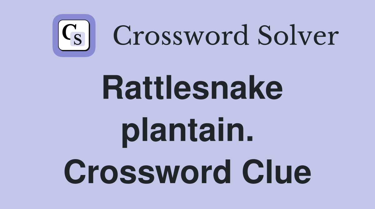 Rattlesnake plantain. Crossword Clue