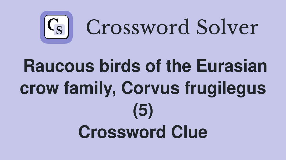 Raucous birds of the Eurasian crow family Corvus frugilegus (5