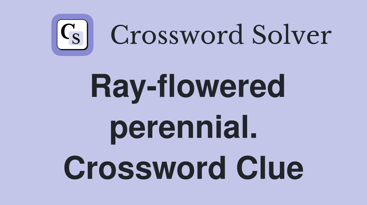 Ray-flowered perennial. Crossword Clue