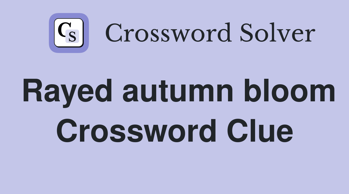 Rayed autumn bloom Crossword Clue