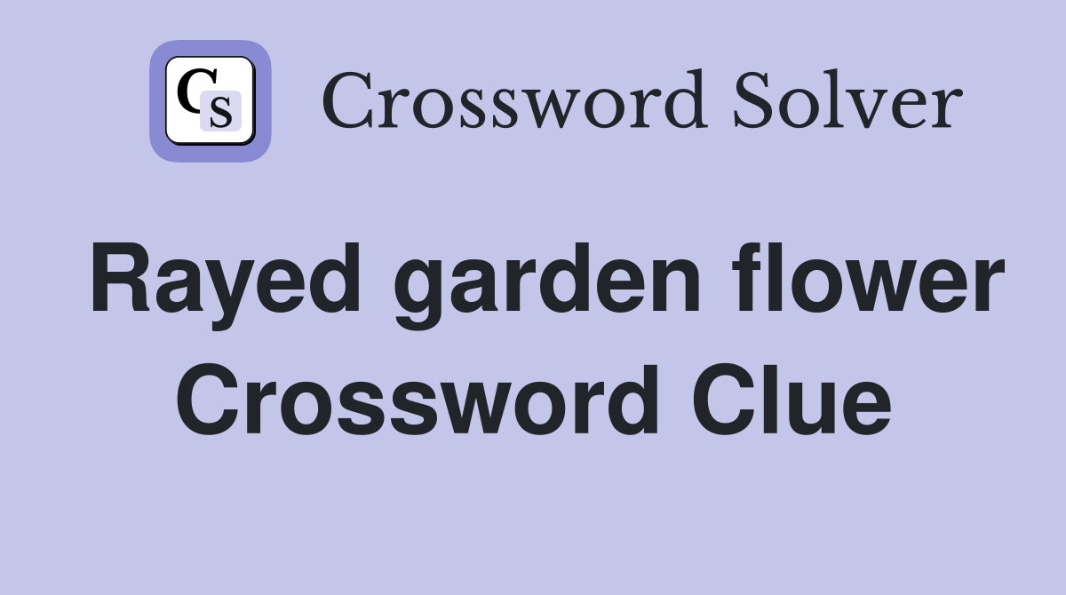 Rayed garden flower Crossword Clue