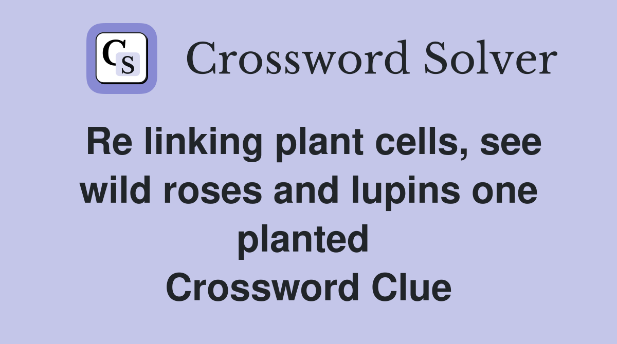 Re linking plant cells, see wild roses and lupins one planted  Crossword Clue