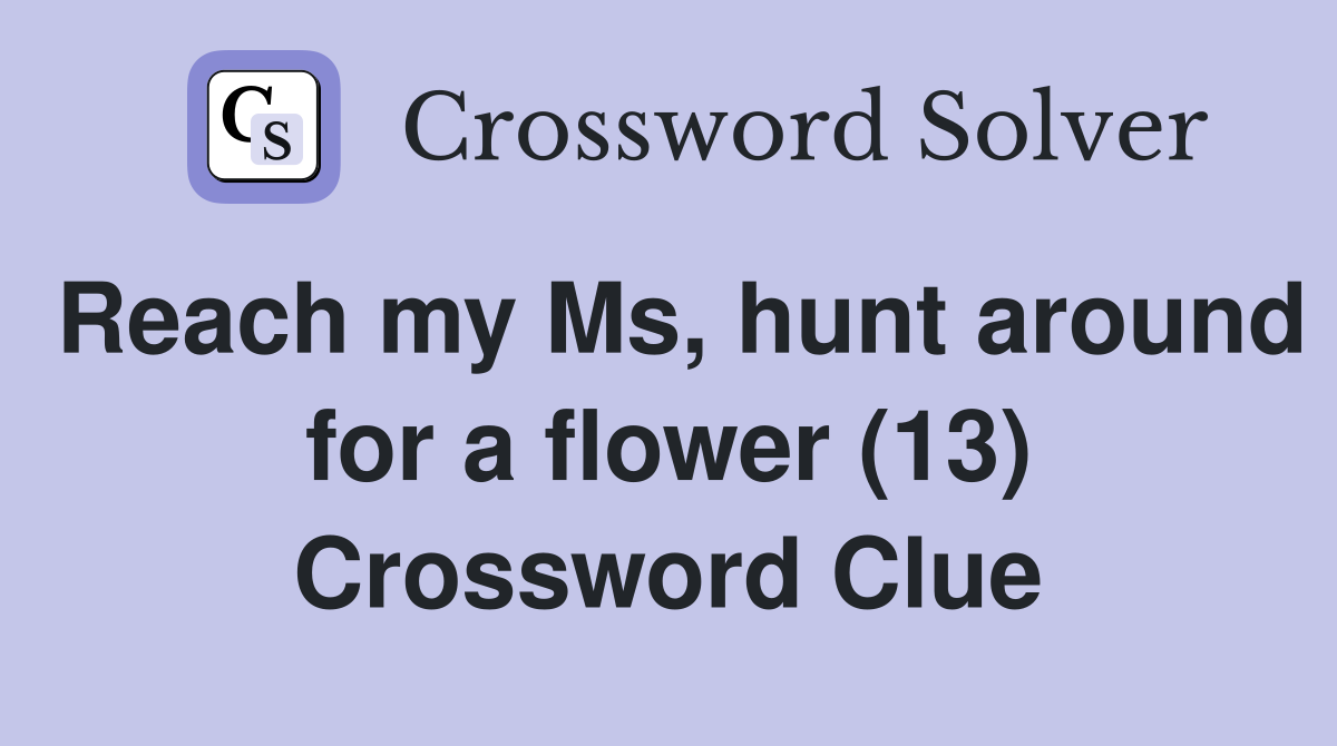 Reach my Ms, hunt around for a flower (13) Crossword Clue