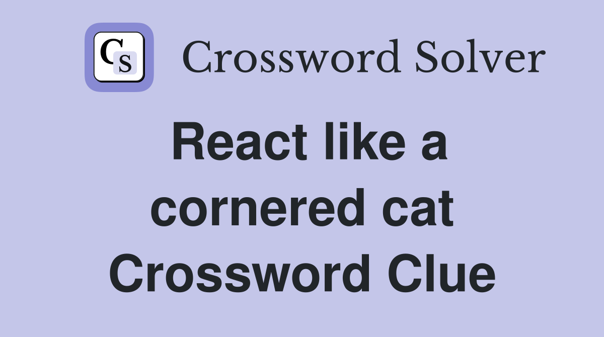 React like a cornered cat Crossword Clue