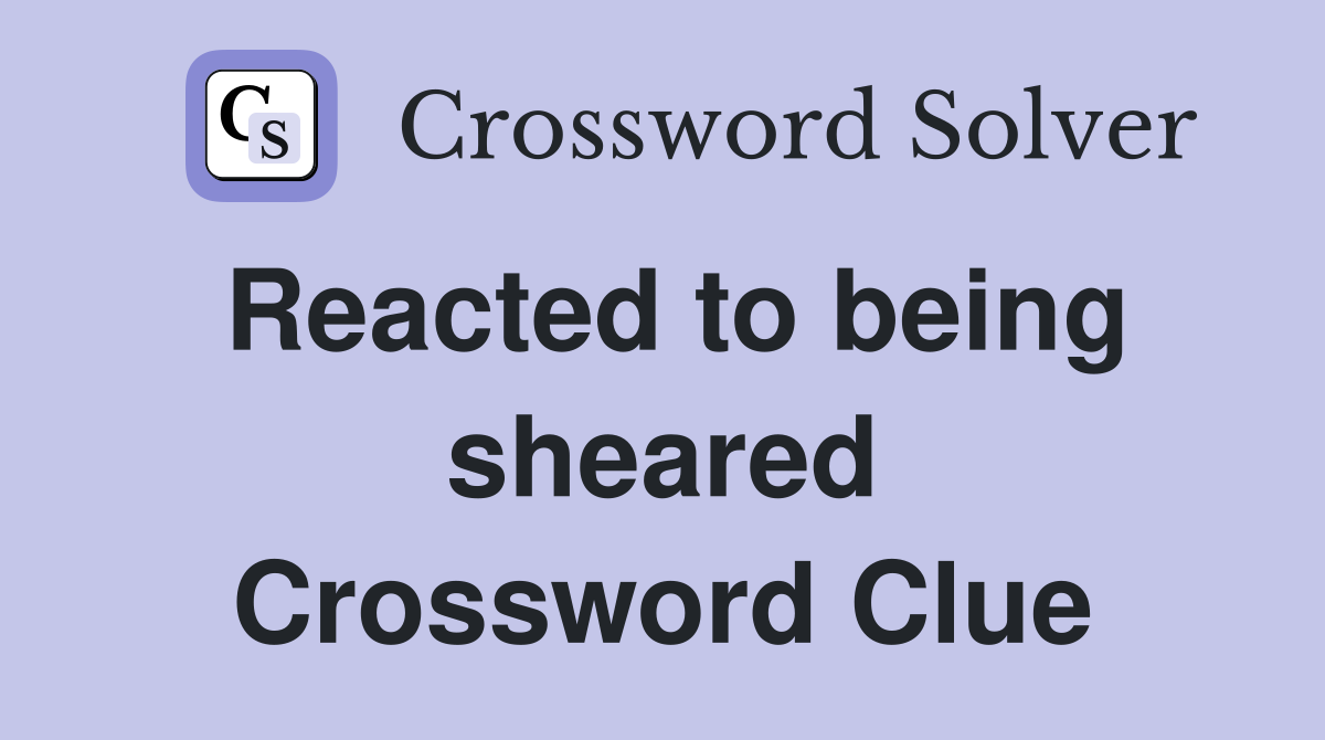Reacted to being sheared Crossword Clue
