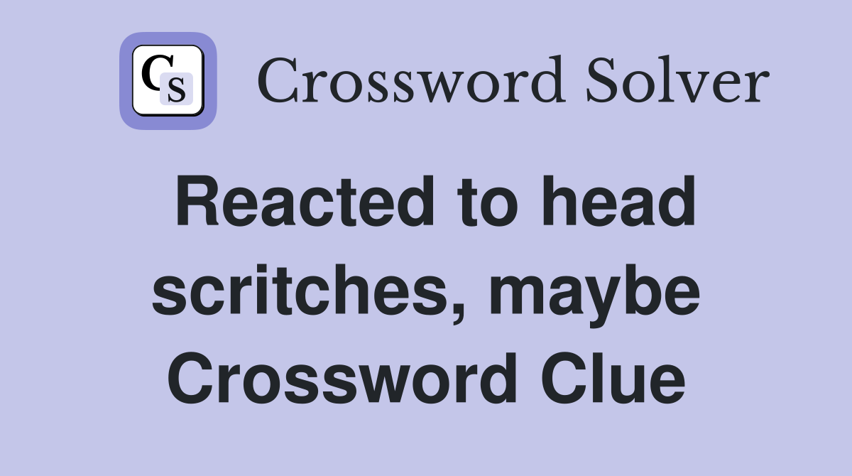 Reacted to head scritches, maybe Crossword Clue