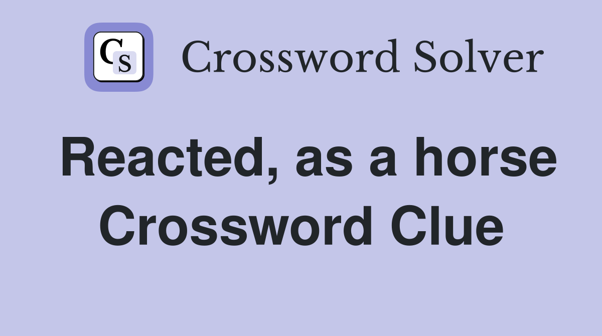Reacted, as a horse Crossword Clue