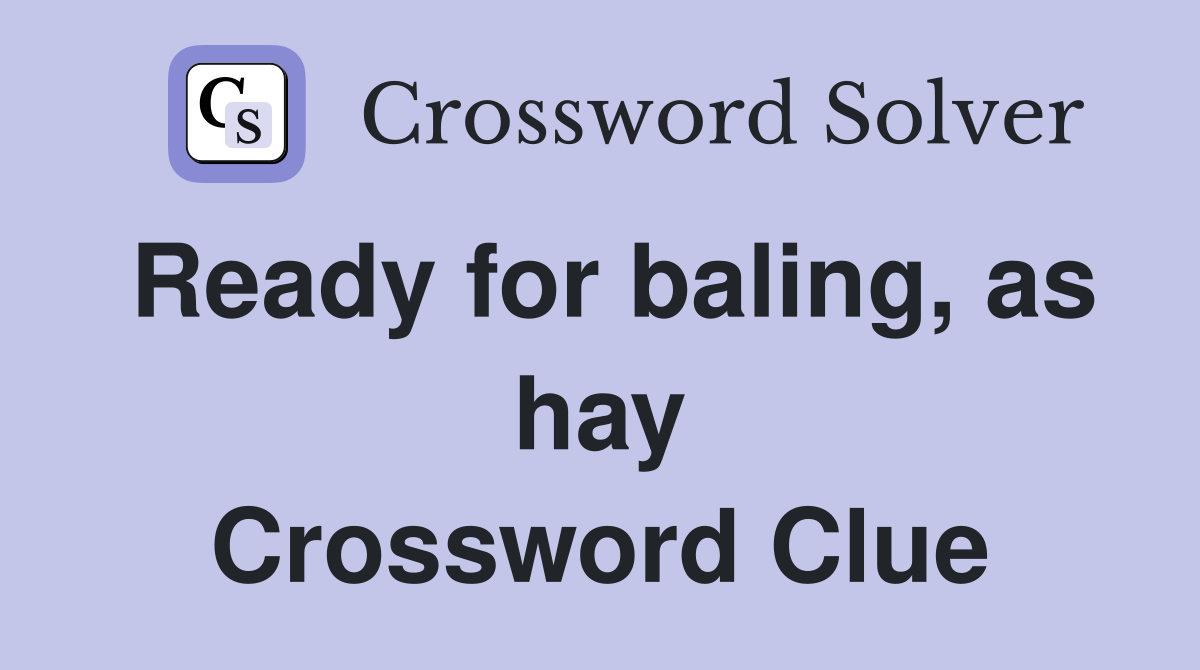 Ready for baling, as hay Crossword Clue