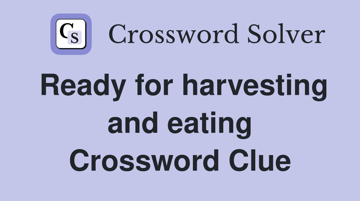 Ready for harvesting and eating Crossword Clue