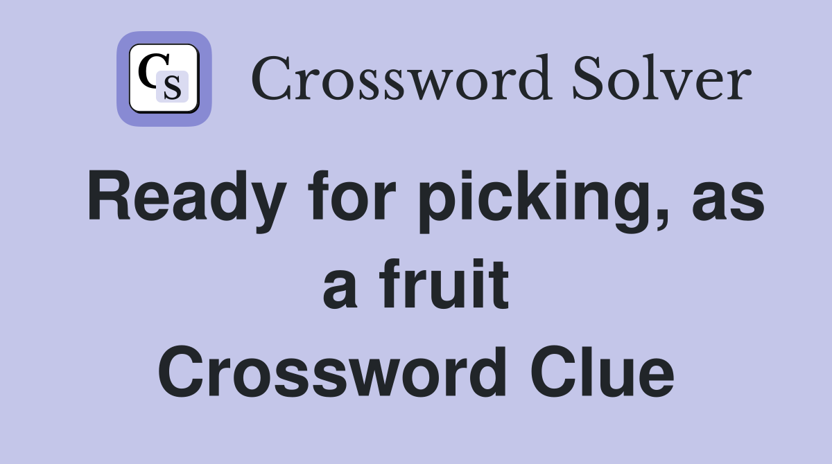 Ready for picking, as a fruit Crossword Clue