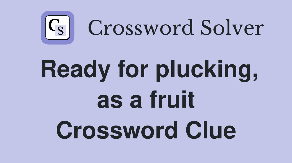 Ready for plucking, as a fruit Crossword Clue
