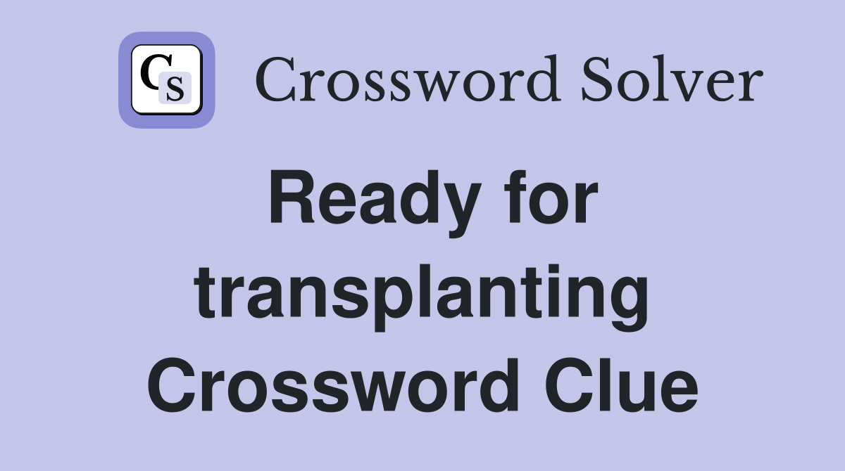 Ready for transplanting Crossword Clue