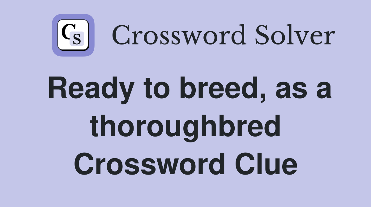 Ready to breed, as a thoroughbred Crossword Clue