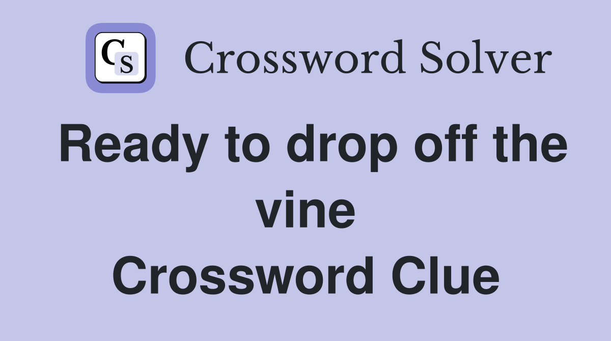 Ready to drop off the vine Crossword Clue
