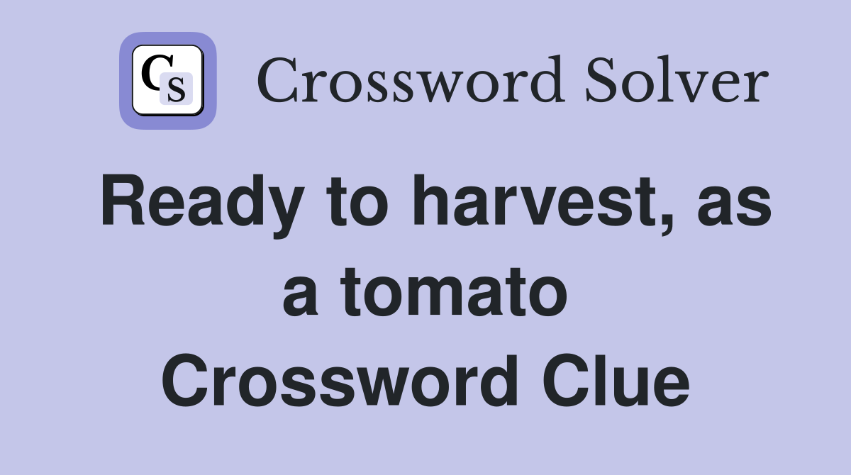 Ready to harvest, as a tomato Crossword Clue