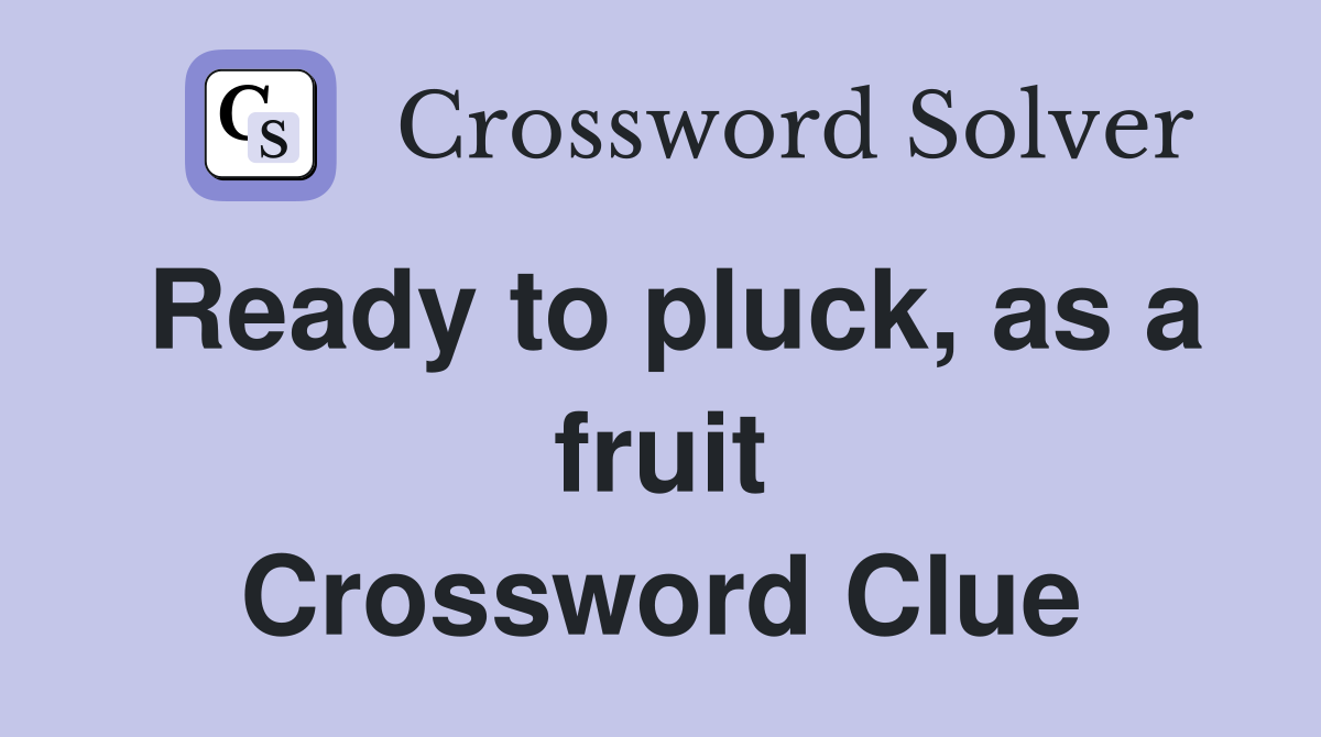 Ready to pluck, as a fruit Crossword Clue