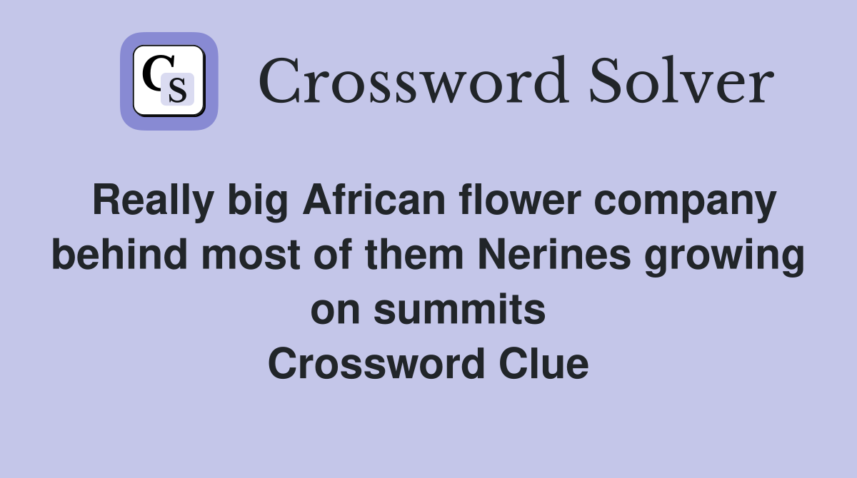 Really big African flower company behind most of them Nerines growing on summits Crossword Clue