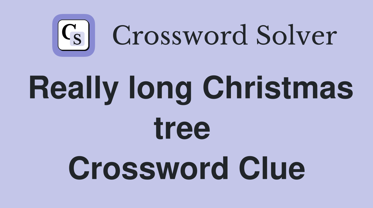 Really long Christmas tree  Crossword Clue