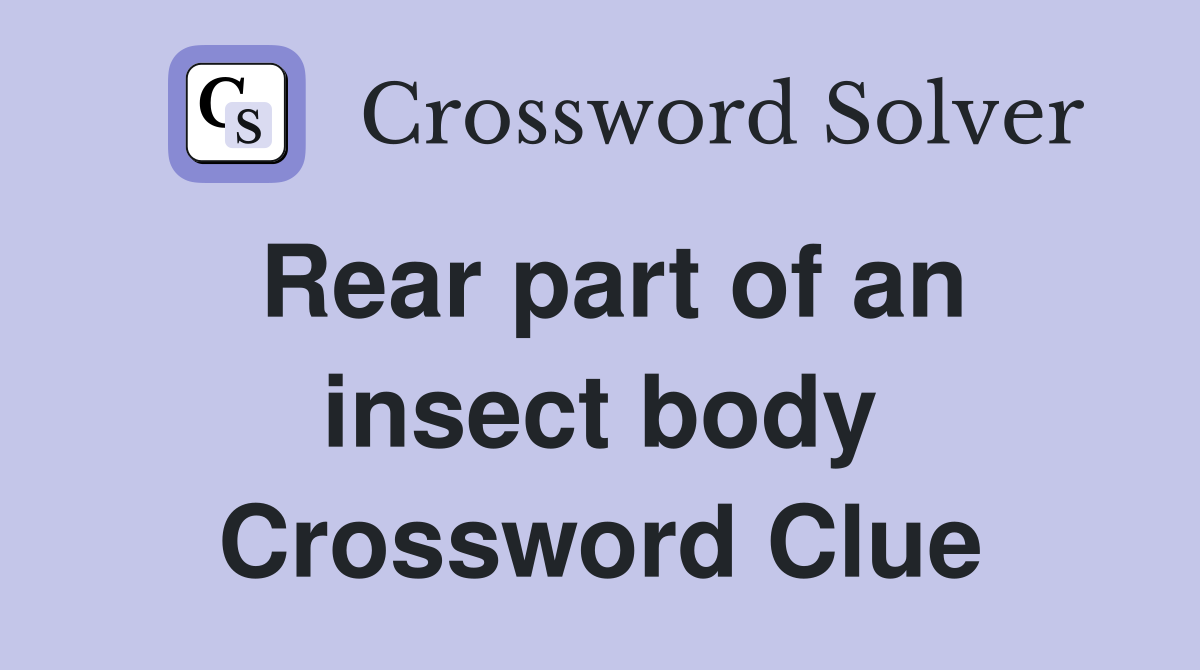 Rear part of an insect body Crossword Clue