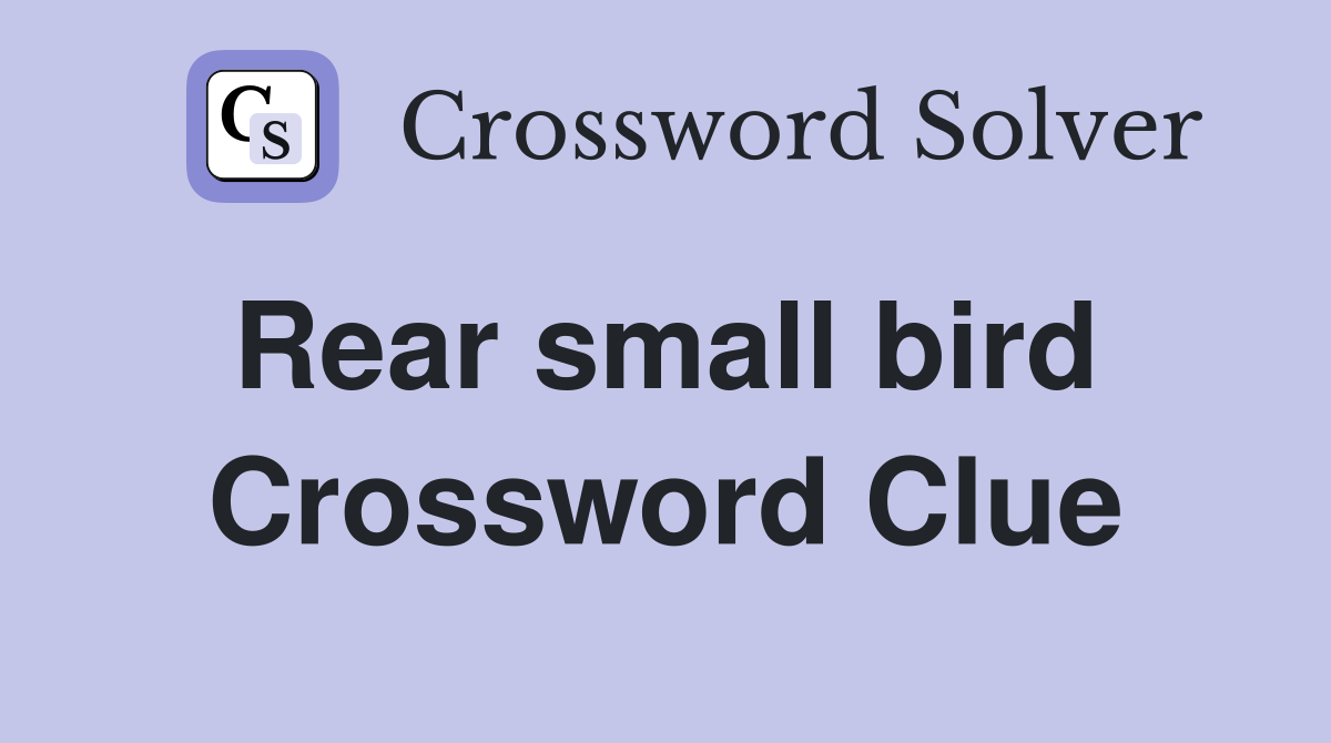 Rear small bird  Crossword Clue