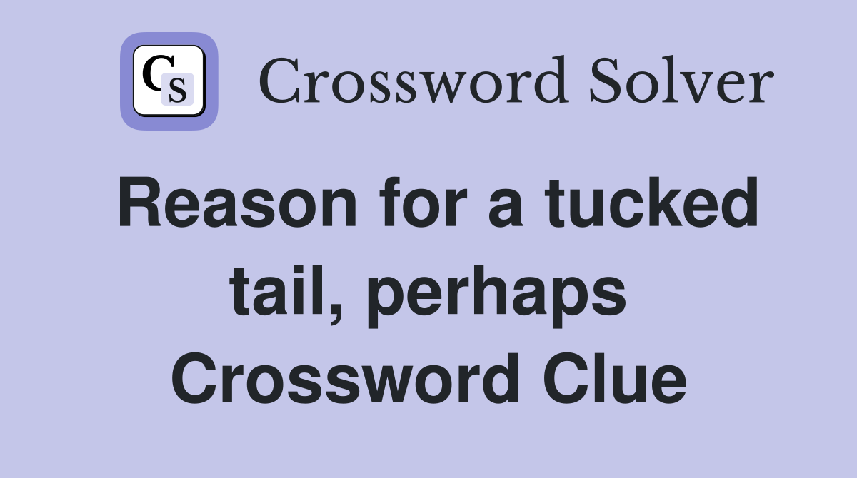 Reason for a tucked tail, perhaps Crossword Clue