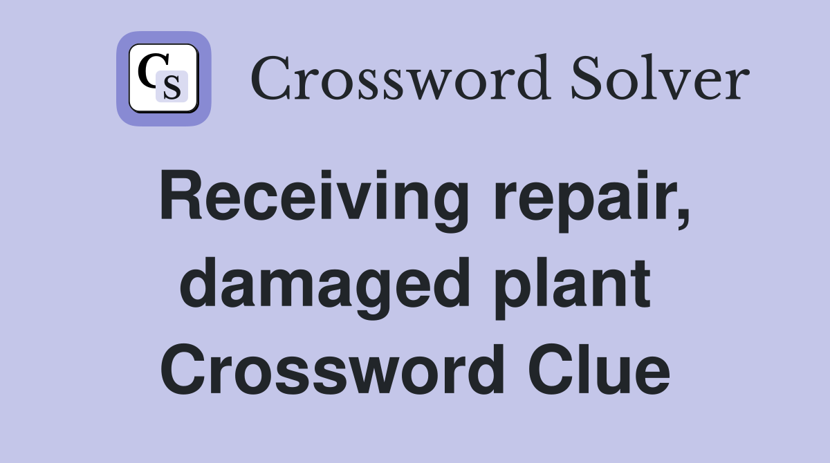 Receiving repair, damaged plant Crossword Clue