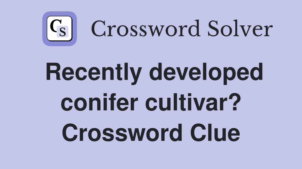 Recently developed conifer cultivar? Crossword Clue