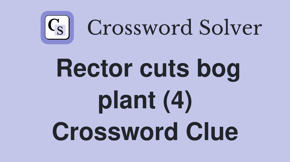 Rector cuts bog plant (4) Crossword Clue